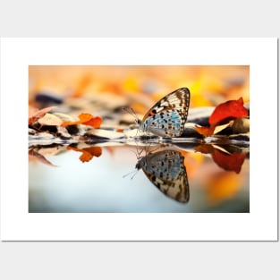 Butterfly Water Nature Serene Tranquil Posters and Art